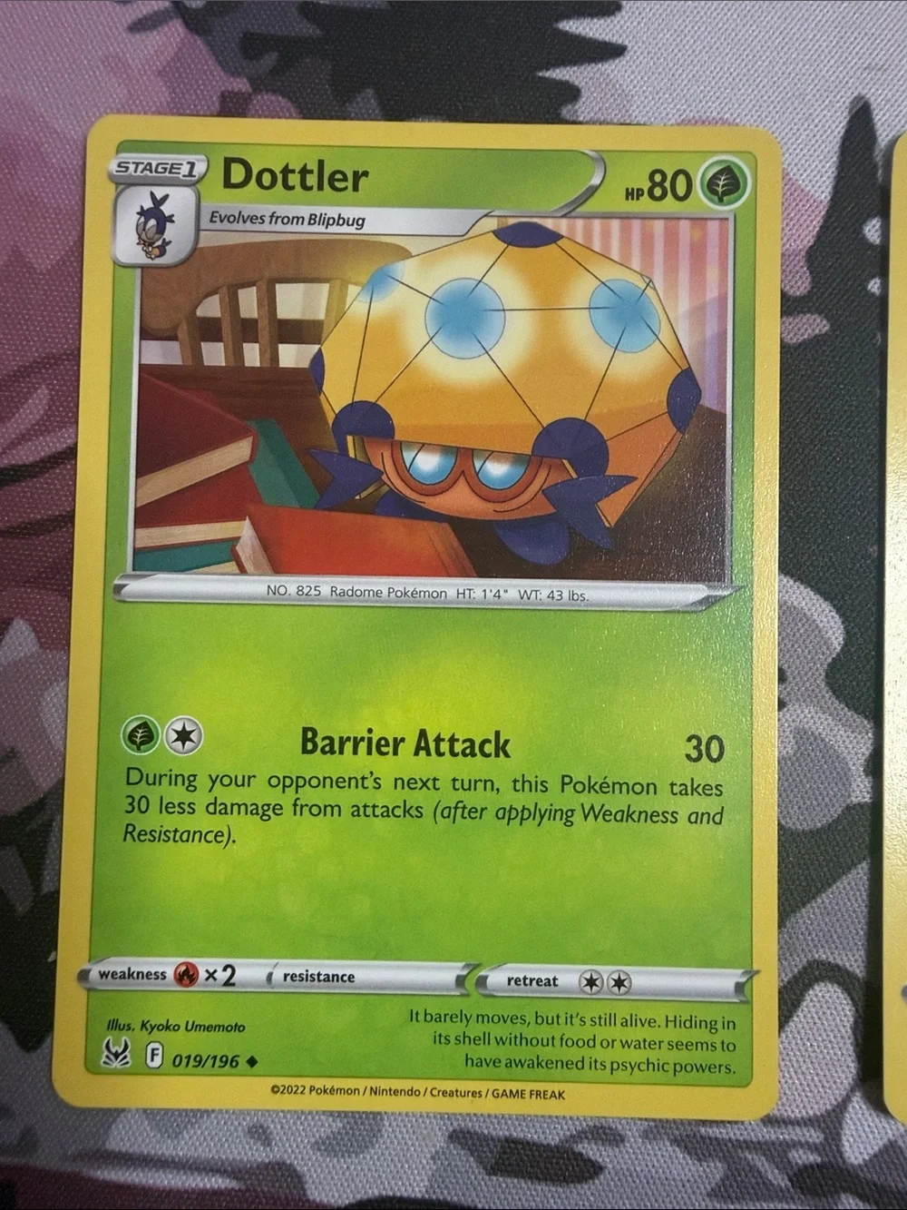 Blipbug & Dottler Evolution Lot | 3 Pokémon Cards | ✨5/$25✨
